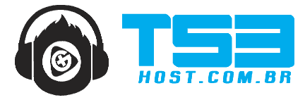 TS3 Host